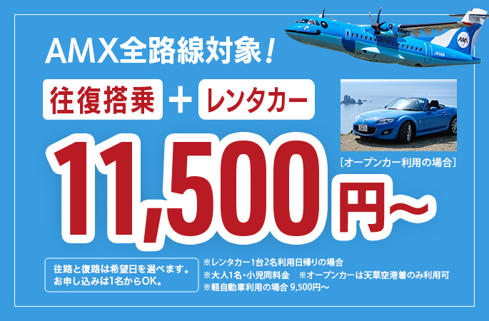 AMXドルフィンレンタカーパック