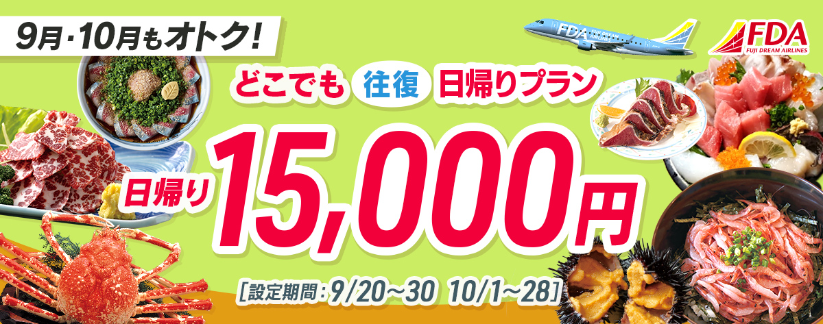 どこでも往復 日帰りプラン 往復15,000円
