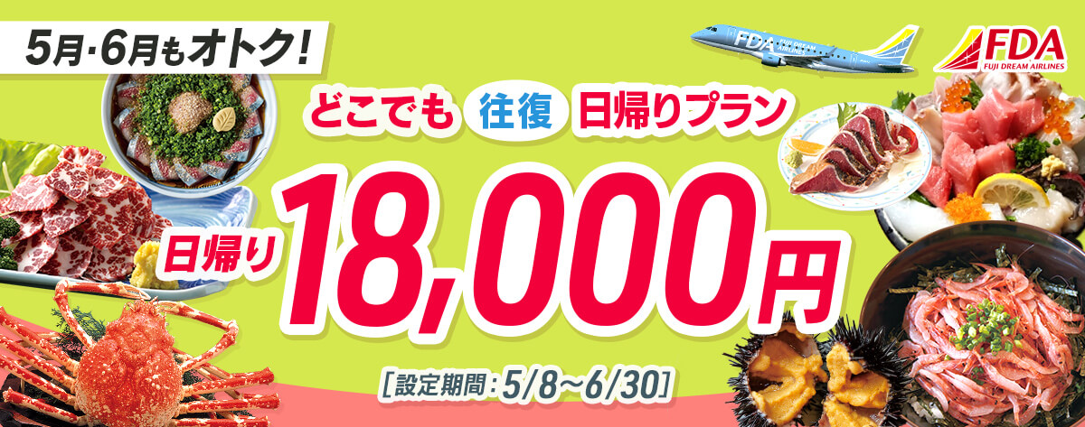 どこでも往復 日帰りプラン 往復18,000円