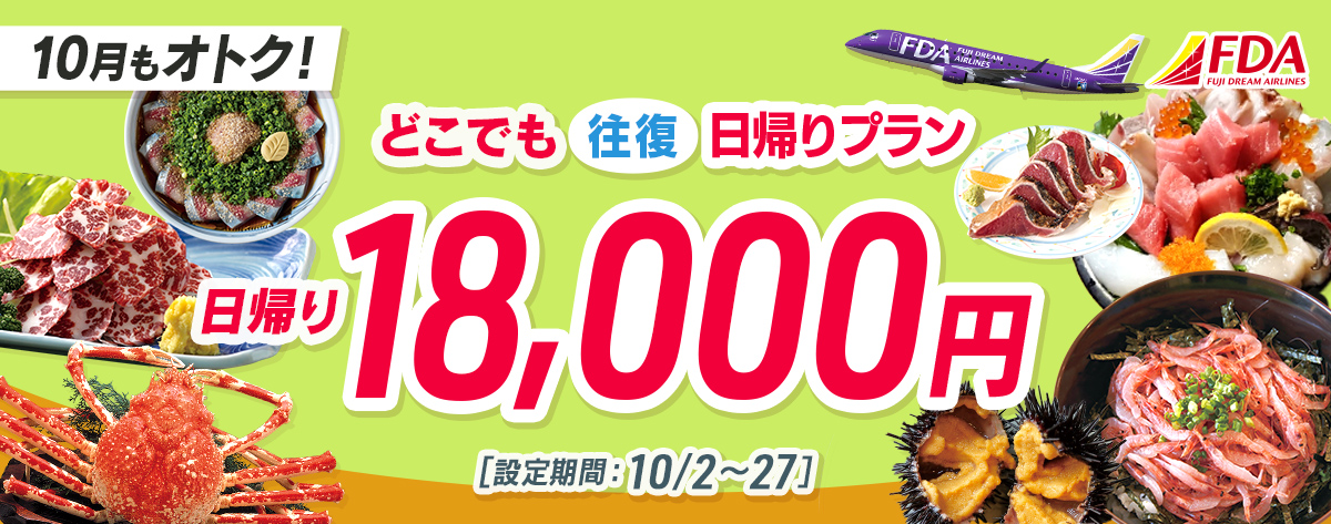 どこでも往復 日帰りプラン 往復18,000円