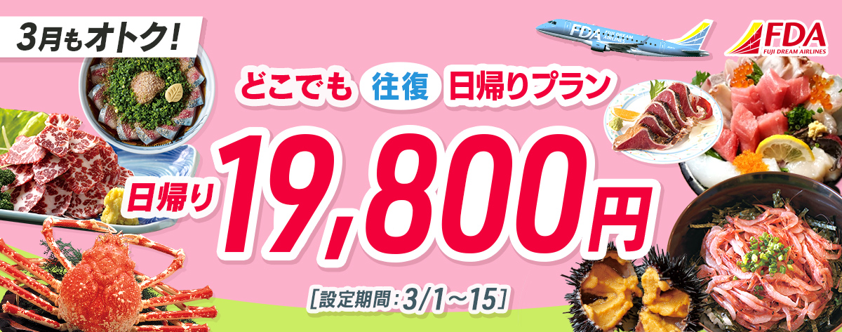 どこでも往復 日帰りプラン 往復19,800円