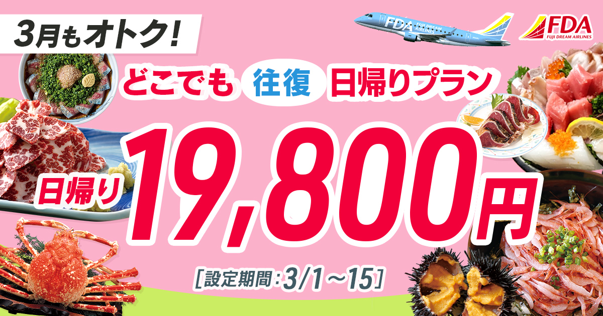 どこでも往復 日帰りプラン 往復19,800円