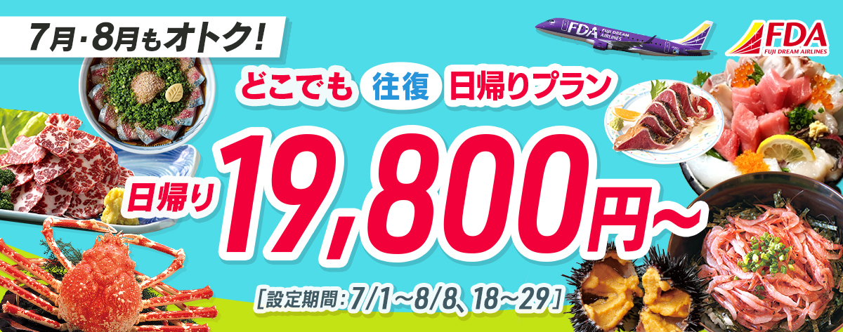 どこでも往復 日帰りプラン 往復19,800円～