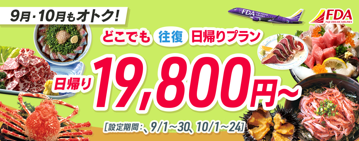 どこでも往復 日帰りプラン 往復19,800円～