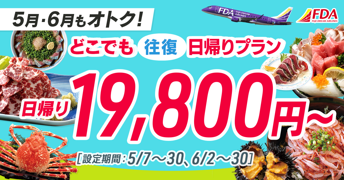 どこでも往復 日帰りプラン 往復19,800円～