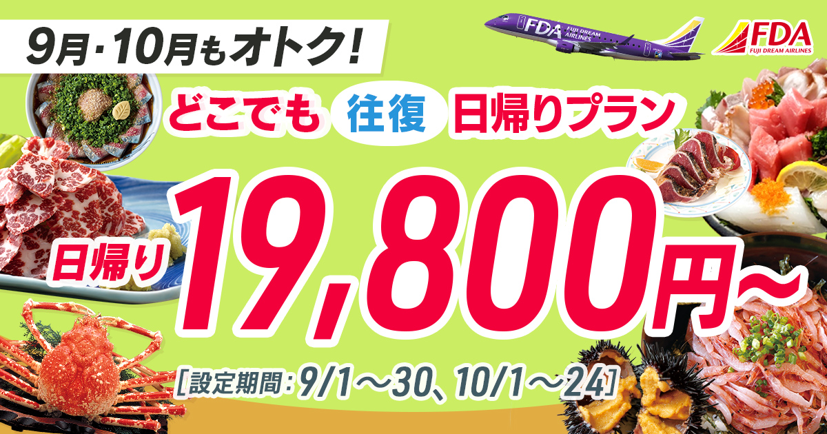 どこでも往復 日帰りプラン 往復19,800円～
