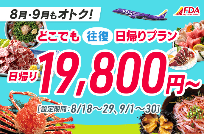 『どこでも往復日帰りプラン19,800円～』