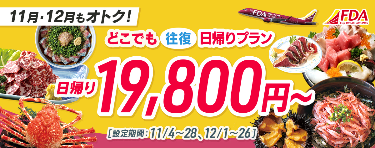 どこでも往復 日帰りプラン 往復19,800円～