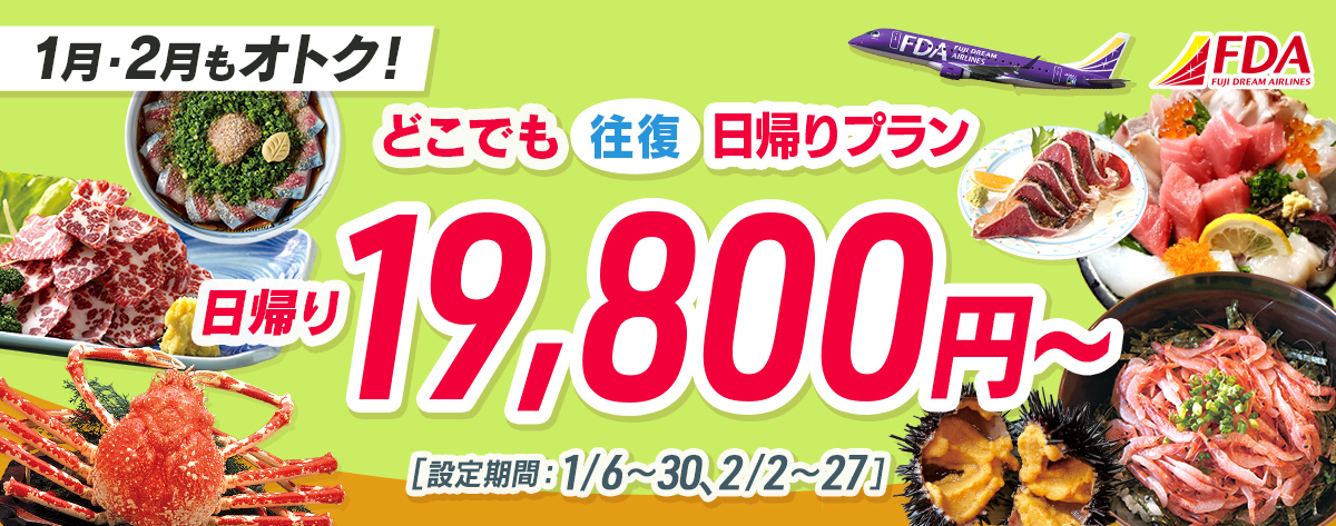 どこでも往復 日帰りプラン 往復19,800円～