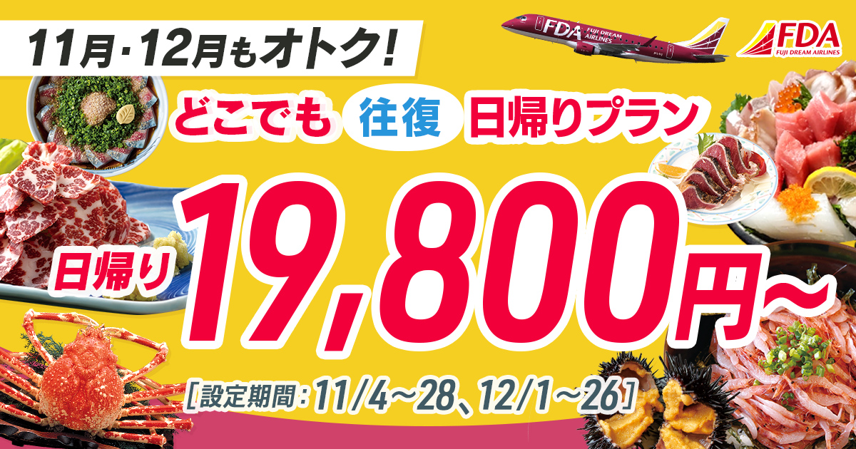 どこでも往復 日帰りプラン 往復19,800円～