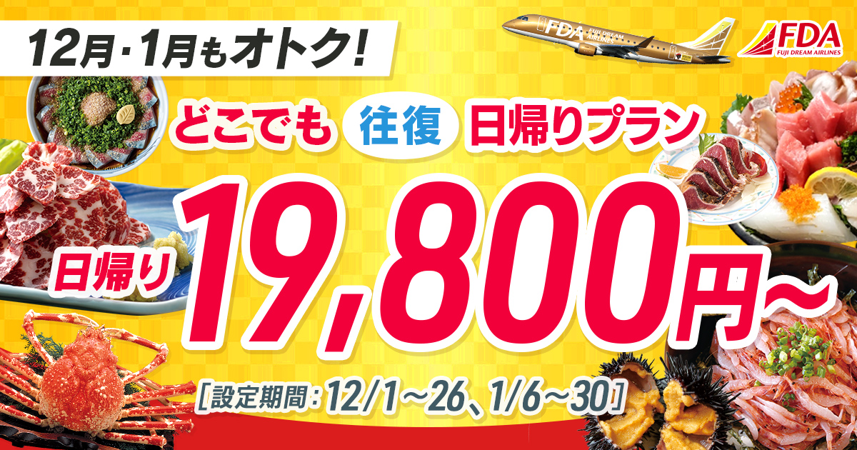 どこでも往復 日帰りプラン 往復19,800円~