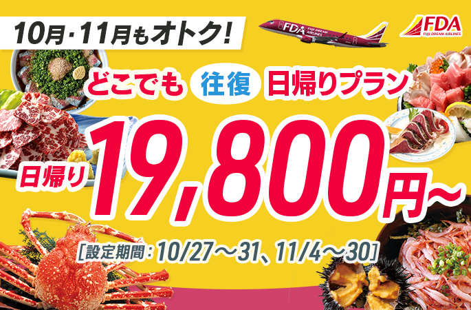 『どこでも往復日帰りプラン19,800円～』