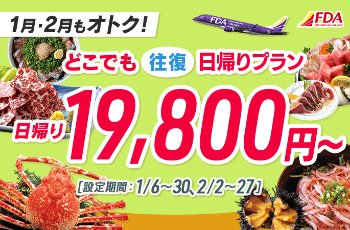 『どこでも往復日帰りプラン19,800円～』