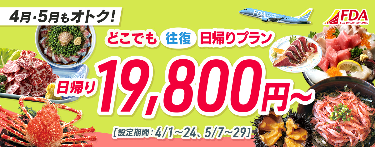 どこでも往復 日帰りプラン 往復19,800円～