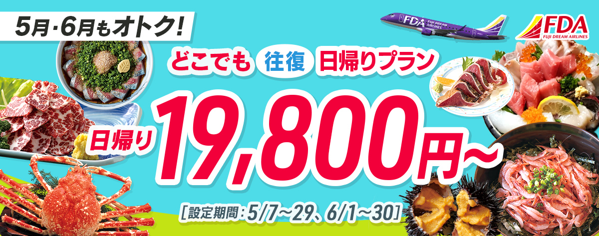 どこでも往復 日帰りプラン 往復19,800円~