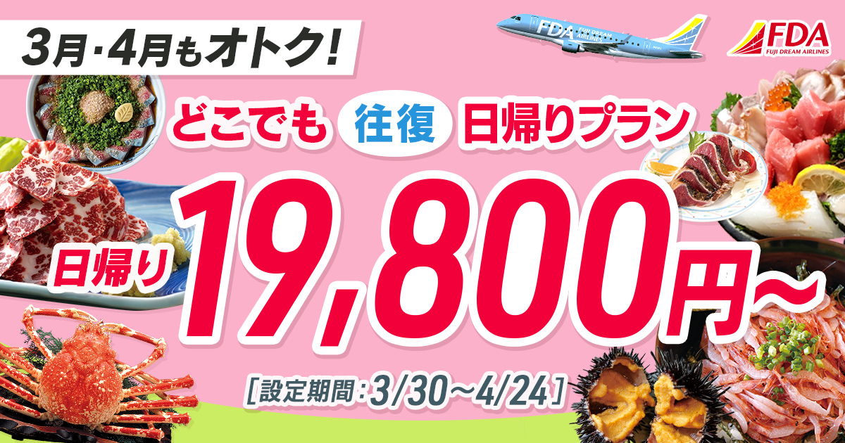 どこでも往復 日帰りプラン 往復19,800円～