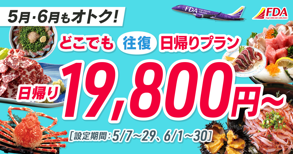 どこでも往復 日帰りプラン 往復19,800円~