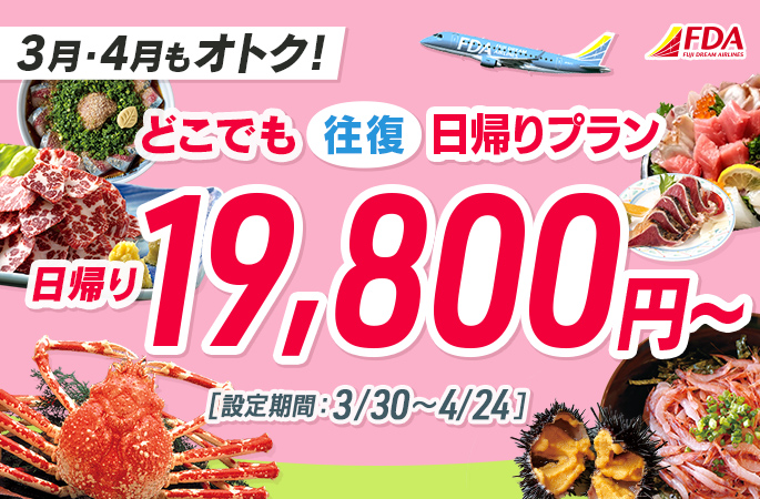 『どこでも往復日帰りプラン19,800円～』