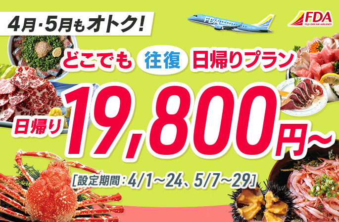 『どこでも往復日帰りプラン19,800円～』