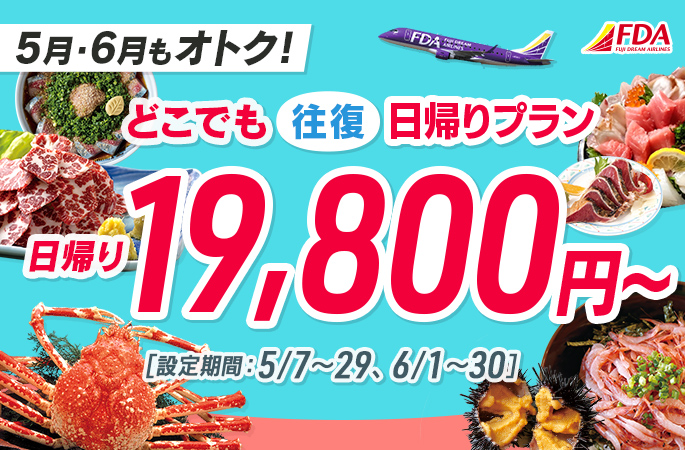 『どこでも往復日帰りプラン19,800円～』