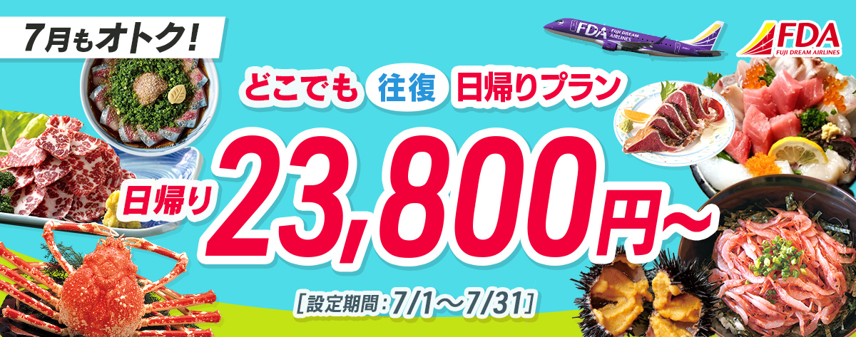 どこでも往復 日帰りプラン 往復23,800円～