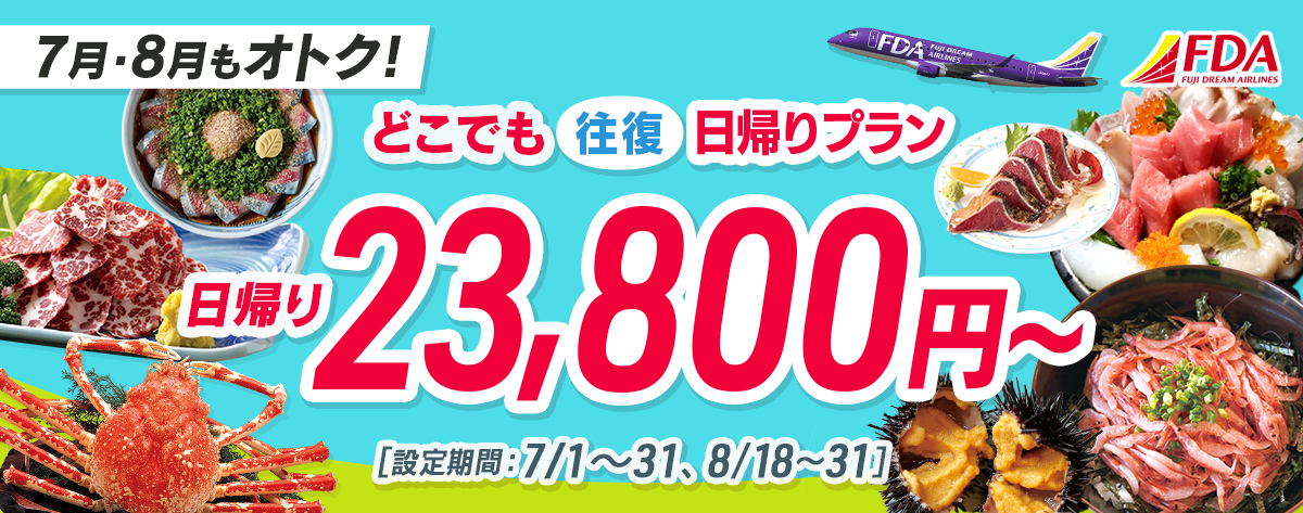 どこでも往復 日帰りプラン 往復23,800円～