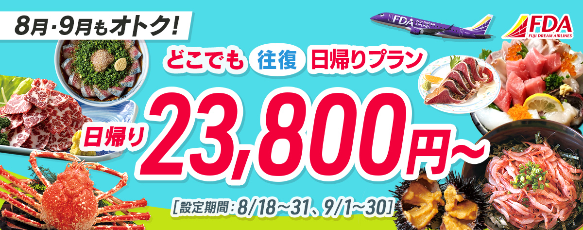 どこでも往復 日帰りプラン 往復23,800円~