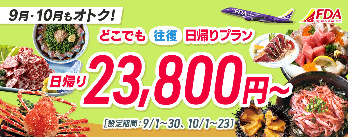 どこでも往復 日帰りプラン 往復23,800円~