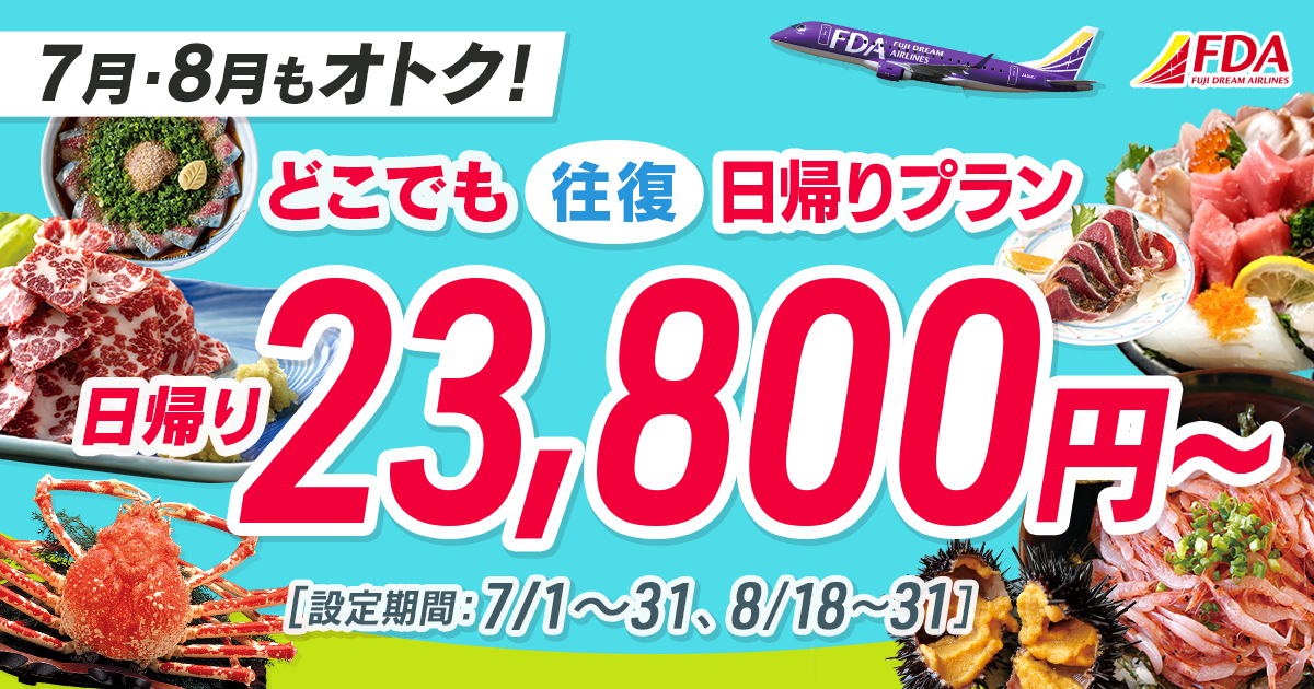 どこでも往復 日帰りプラン 往復23,800円～