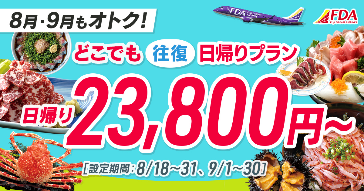 どこでも往復 日帰りプラン 往復23,800円~