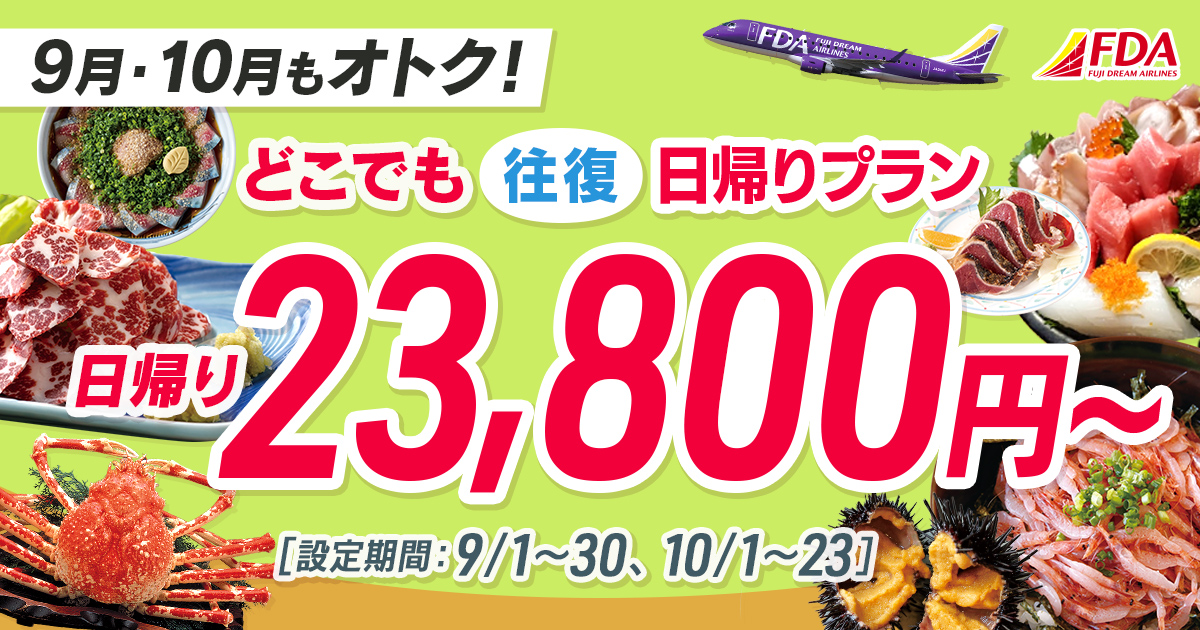どこでも往復 日帰りプラン 往復23,800円~