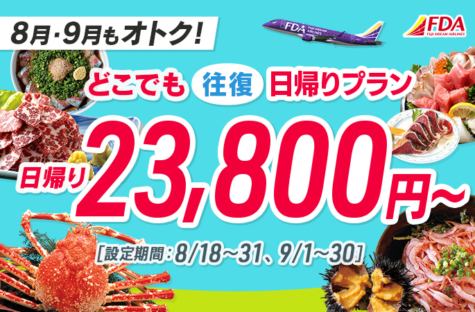 『どこでも往復日帰りプラン23,800円～』