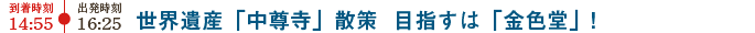 目指すは金色堂！世界遺産・中尊寺散策