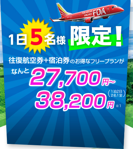 1日5名様限定！27,700円～