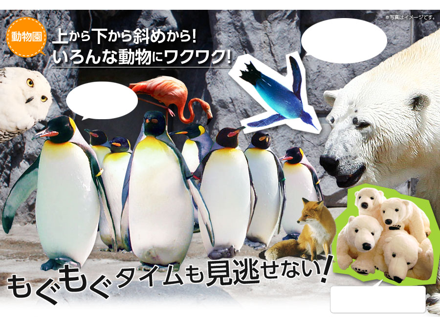 旭山動物園